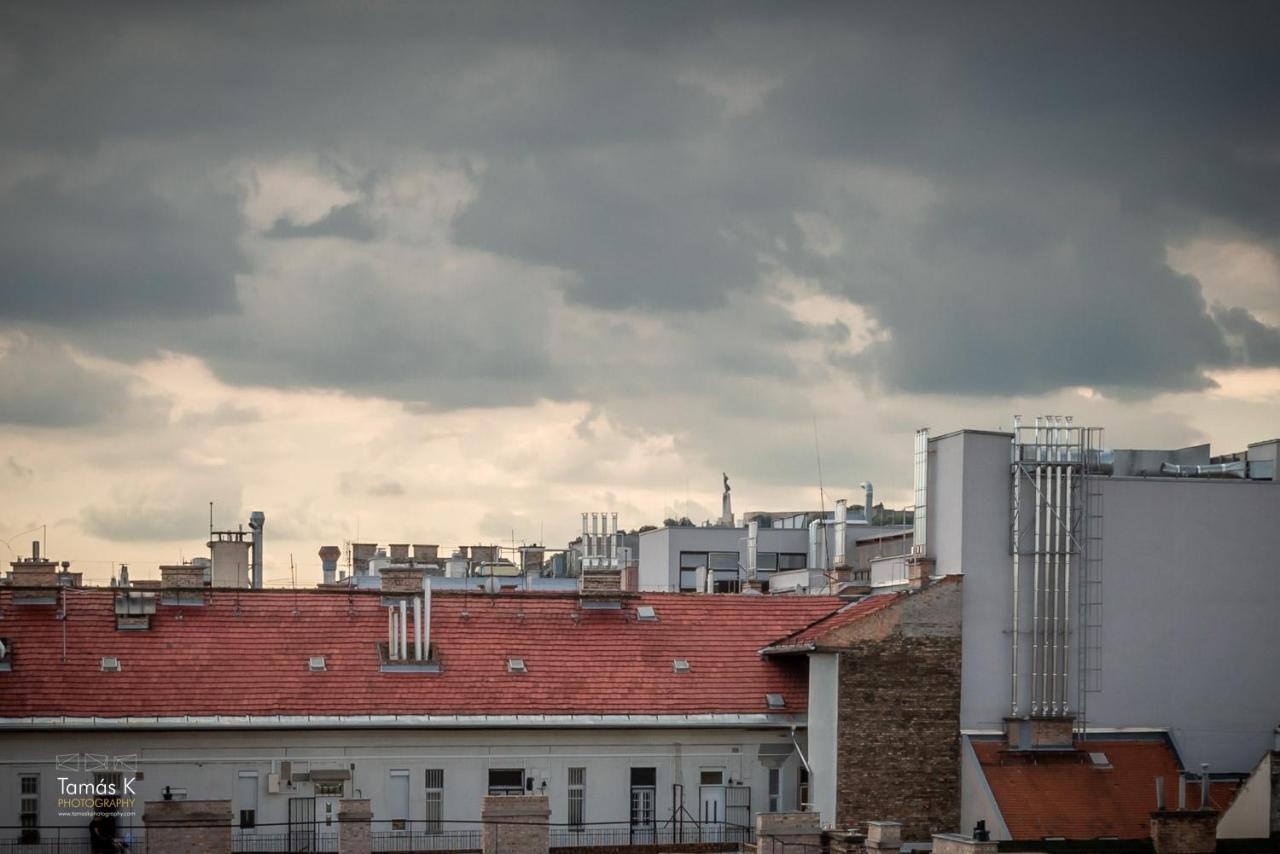 Imperial Suite With Basilika And Castle View Need Reservation For Free Parking Budapest Exteriör bild